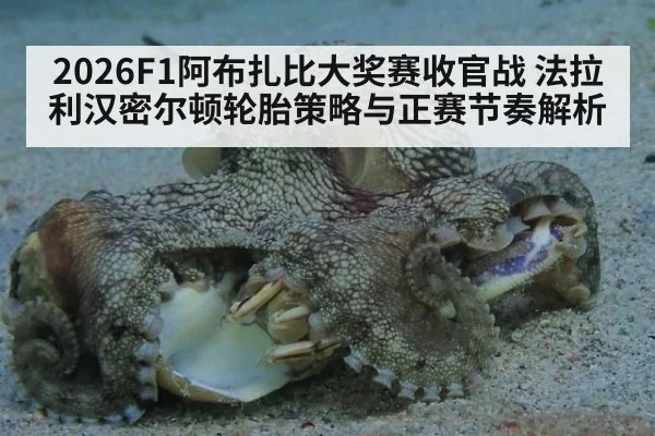 2026F1阿布扎比大奖赛收官战 法拉利汉密尔顿轮胎策略与正赛节奏解析